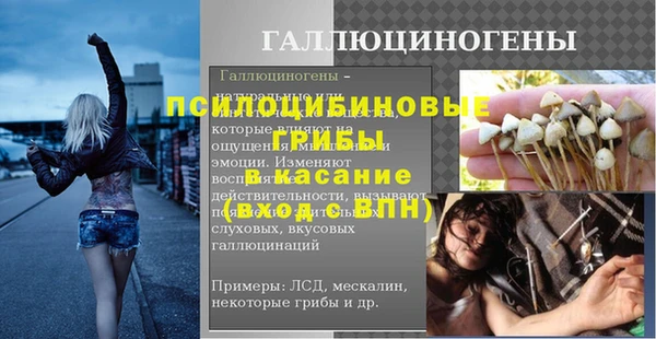 таблы Верея