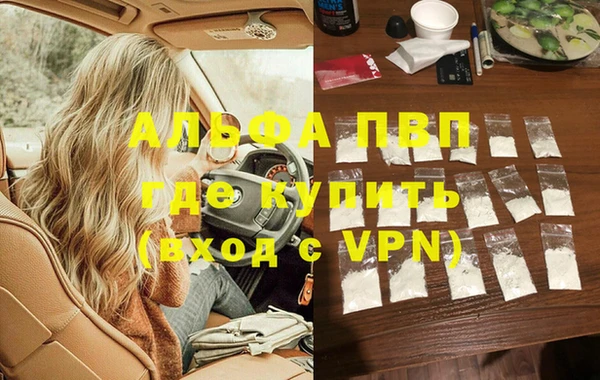 прущие грибы Володарск