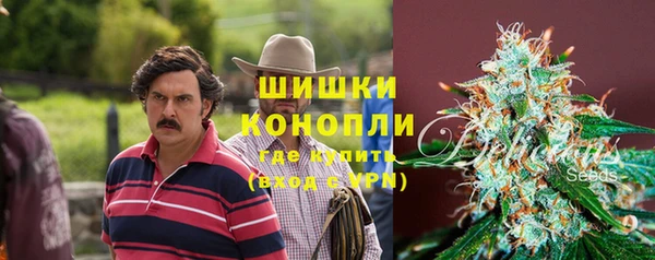 прущие грибы Володарск