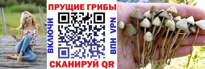 Псилоцибиновые грибы ЛСД  Зубцов 